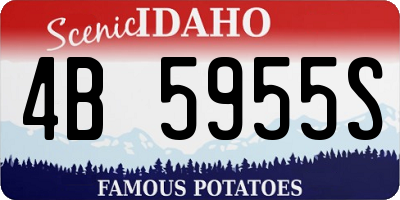 ID license plate 4B5955S