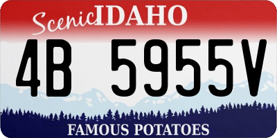 ID license plate 4B5955V