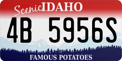 ID license plate 4B5956S