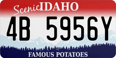 ID license plate 4B5956Y
