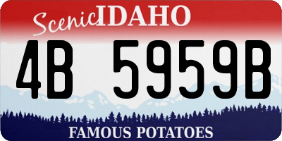 ID license plate 4B5959B
