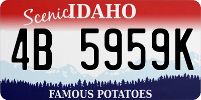 ID license plate 4B5959K