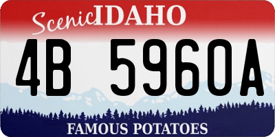 ID license plate 4B5960A