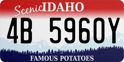 ID license plate 4B5960Y