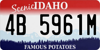 ID license plate 4B5961M