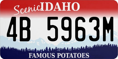 ID license plate 4B5963M