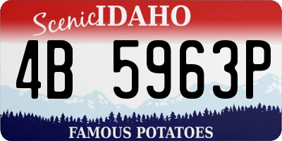 ID license plate 4B5963P