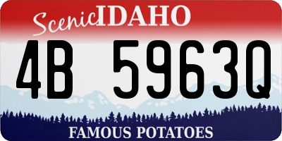 ID license plate 4B5963Q