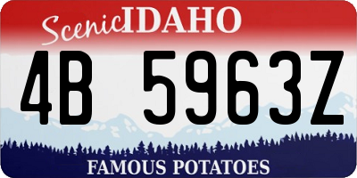 ID license plate 4B5963Z