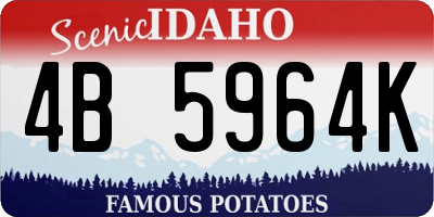 ID license plate 4B5964K