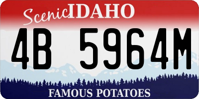 ID license plate 4B5964M