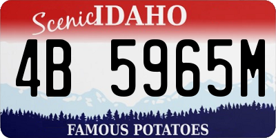 ID license plate 4B5965M