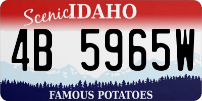 ID license plate 4B5965W