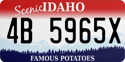 ID license plate 4B5965X