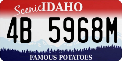 ID license plate 4B5968M