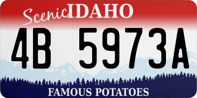ID license plate 4B5973A