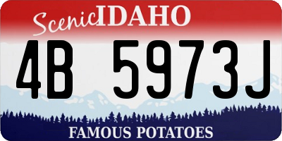 ID license plate 4B5973J