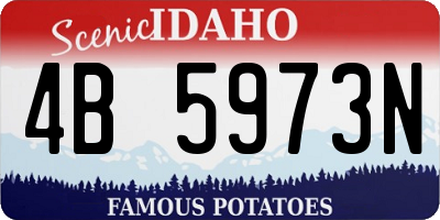 ID license plate 4B5973N