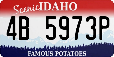 ID license plate 4B5973P