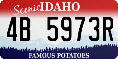 ID license plate 4B5973R