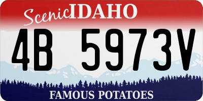 ID license plate 4B5973V