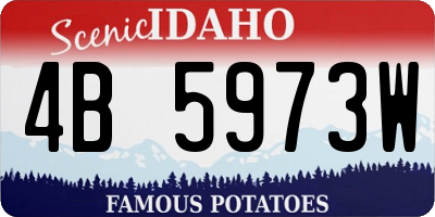 ID license plate 4B5973W