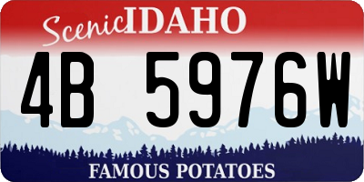 ID license plate 4B5976W