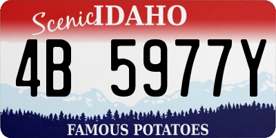 ID license plate 4B5977Y