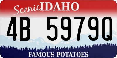 ID license plate 4B5979Q