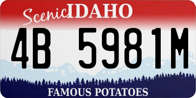 ID license plate 4B5981M