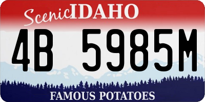 ID license plate 4B5985M