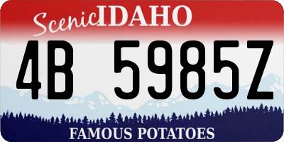 ID license plate 4B5985Z