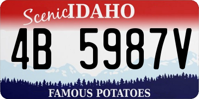 ID license plate 4B5987V
