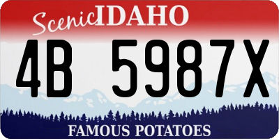 ID license plate 4B5987X