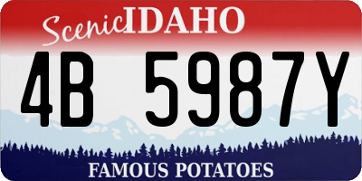ID license plate 4B5987Y