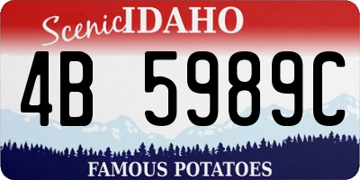 ID license plate 4B5989C