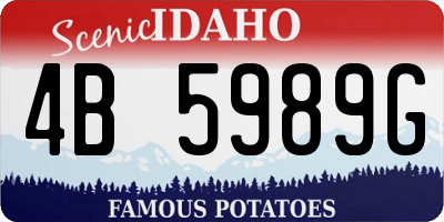ID license plate 4B5989G