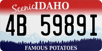 ID license plate 4B5989I