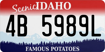 ID license plate 4B5989L
