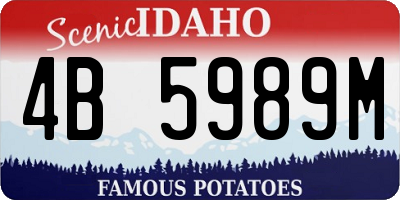 ID license plate 4B5989M