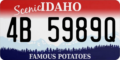 ID license plate 4B5989Q