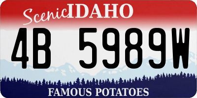 ID license plate 4B5989W