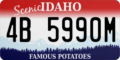 ID license plate 4B5990M