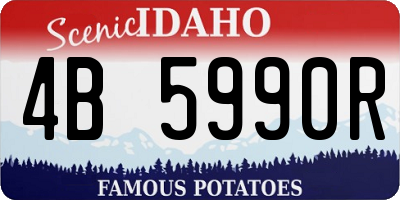 ID license plate 4B5990R