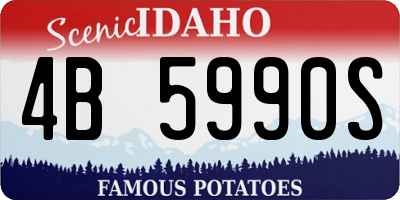 ID license plate 4B5990S