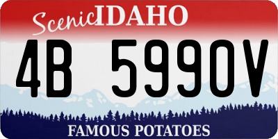 ID license plate 4B5990V