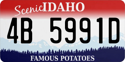 ID license plate 4B5991D