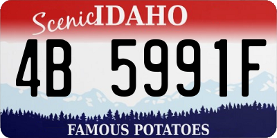 ID license plate 4B5991F