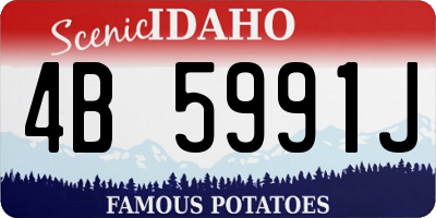 ID license plate 4B5991J