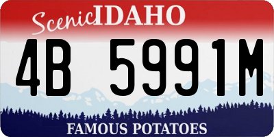 ID license plate 4B5991M